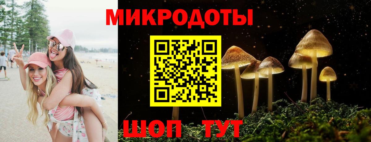 Балашиха  Псилоцибиновые грибы Psilocybe  Вход с VPN 