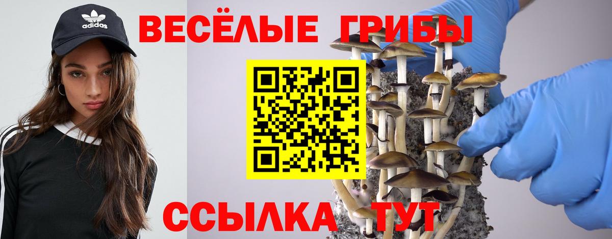 Галлюциногенные грибы Cubensis Балашиха